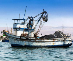 hth华体会体育全站